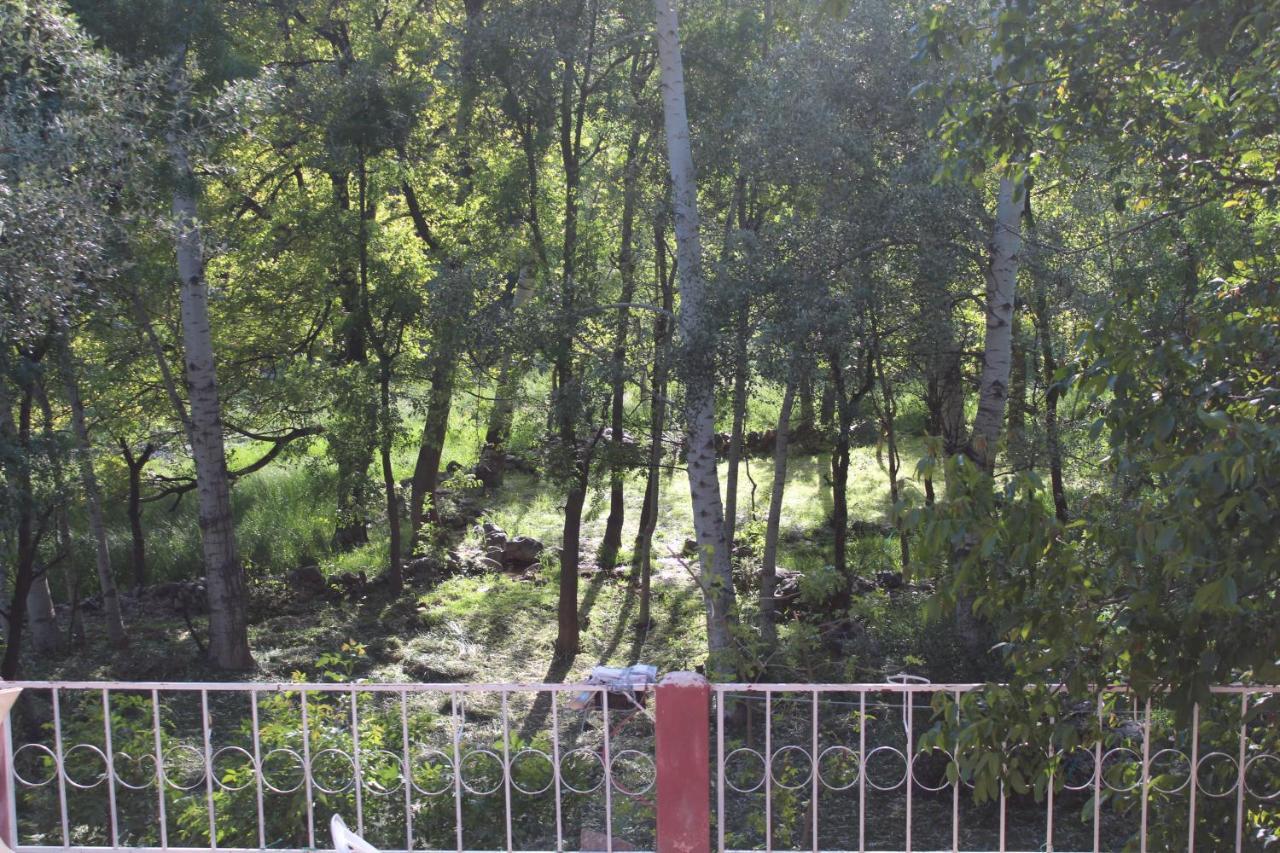Auberge Toubkal Amsouzart Aitst Idar Tizgui Extérieur photo